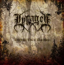 Lykauges - Under the Veil of Depression CD