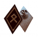 Odal Rune Pin