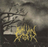 Anwynn - Voices Of Perdition CD