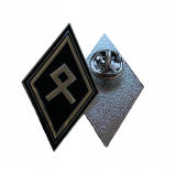 Odal Rune Pin