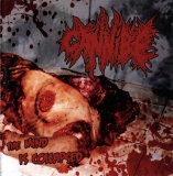 Cannibe - The Mind is Collapsed CD